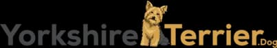 YorkshireTerrier.dog - The Vetted Yorkie Guide